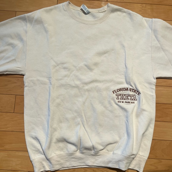 FSU Theta sweatshirt - Picture 1 of 2